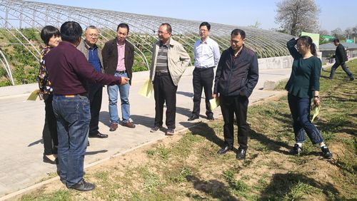 水利部来我市开展实施国家节水行动专题调研