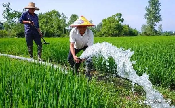 非常规水源中再生水和海水淡化所占的比例为4.3%