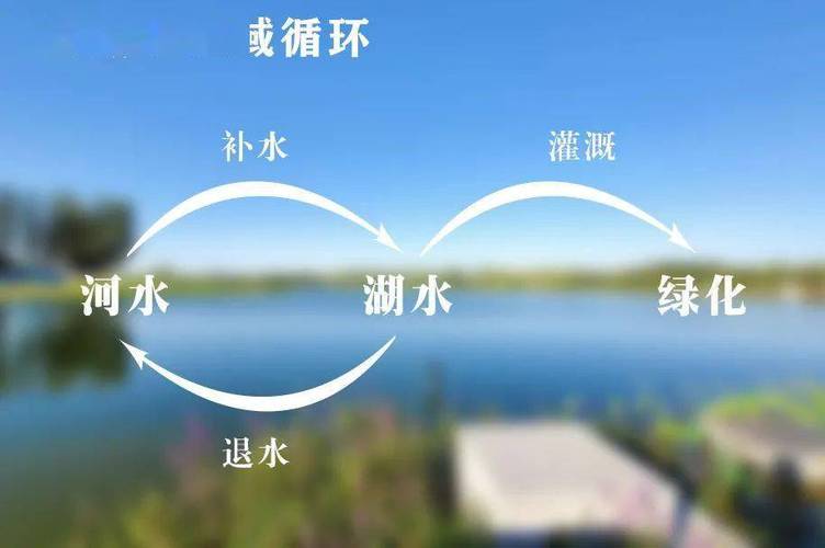 原来非常规水源还能这么用,真是不错!